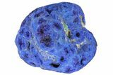 Vivid Blue, Cut/Polished Azurite Nodule - Siberia #94566-1